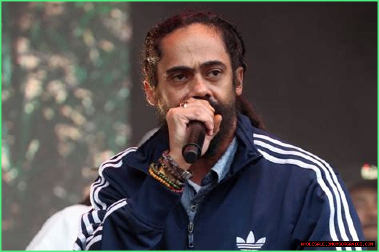 Damian Marley's Net Worth In 2024