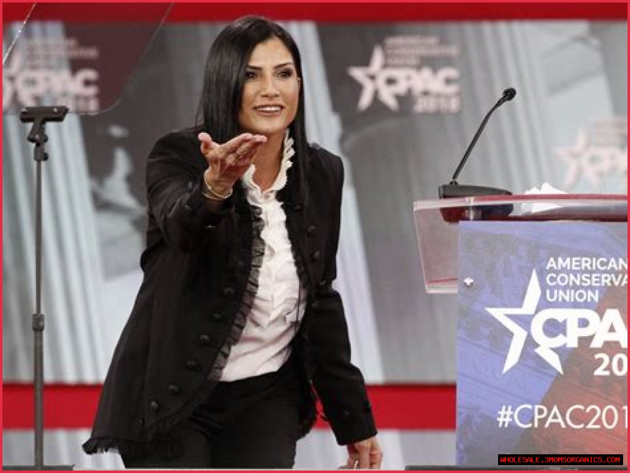 Dana Loesch On Politics And Gun Rights