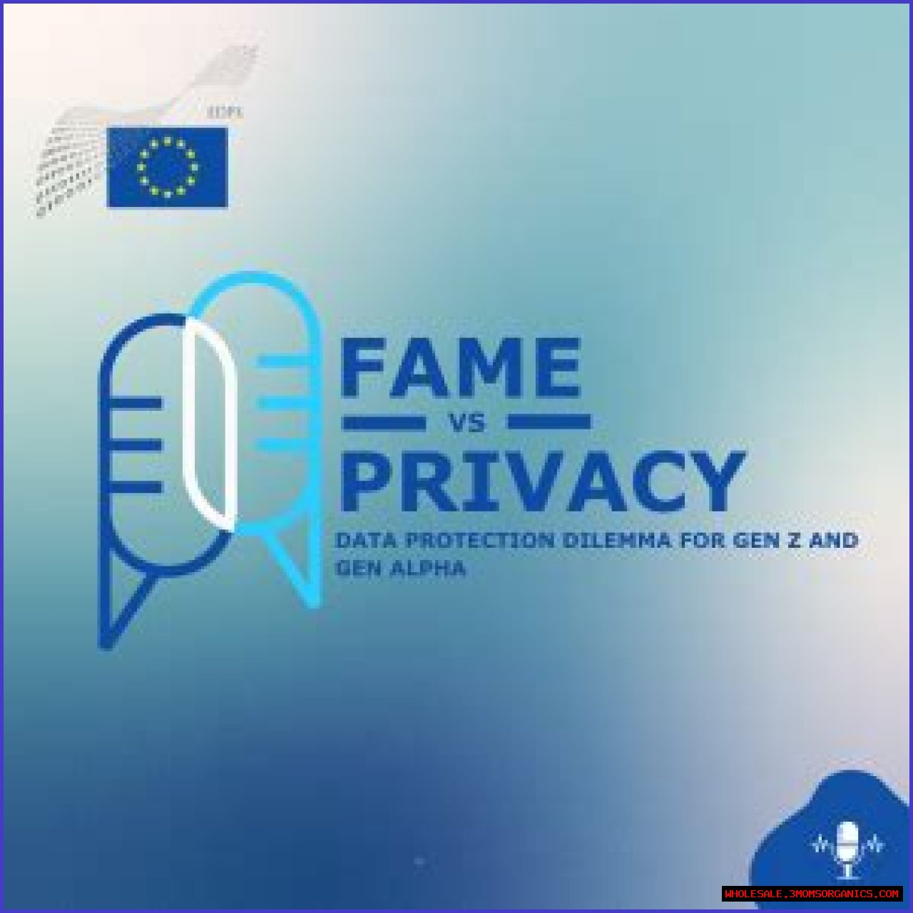 Exploring Privacy, Protection, And The Role Of Fame