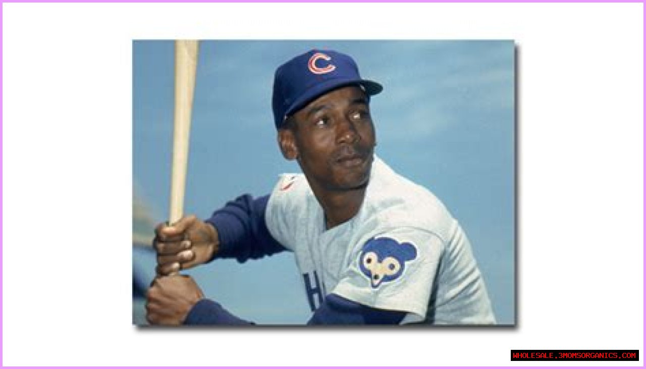 Success In Baseball And Business