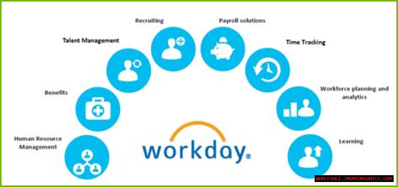 Transform Your Workforce With IBM Workday: The Ultimate HR Solution