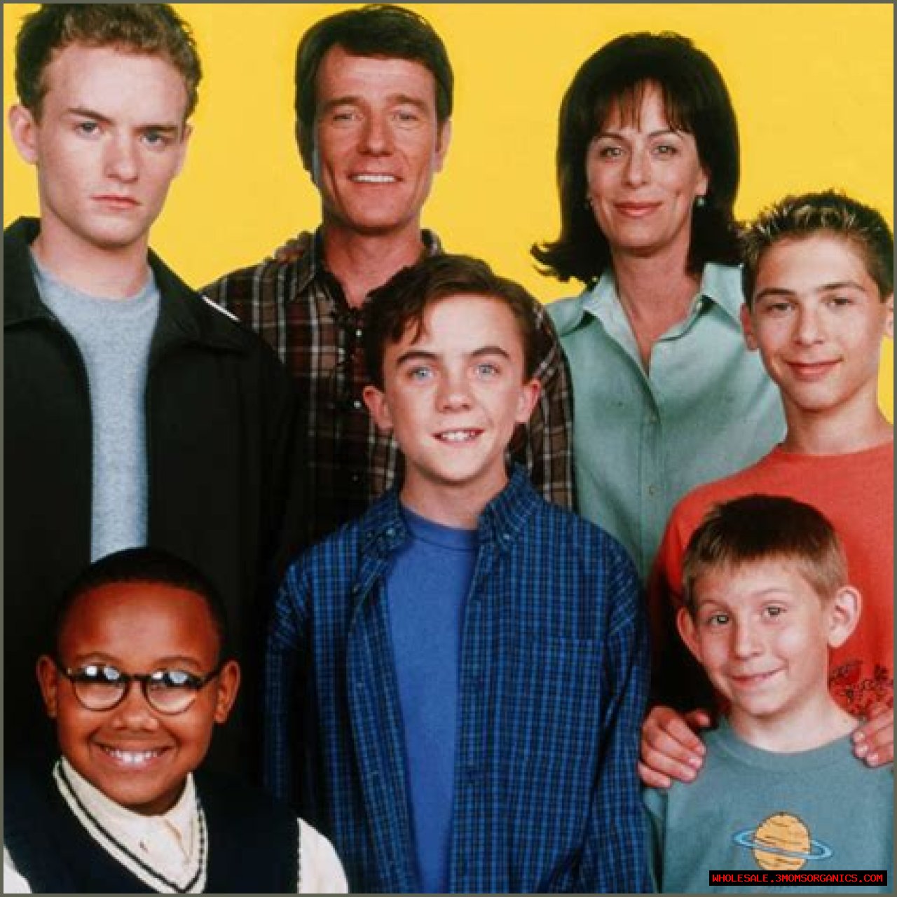 Unveiling Hollywood's Salary Secrets: Malcolm In The Middle
